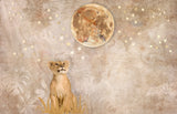 Full artwork
